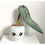 Plush toy of a potted plant with a smiling face and a large drooping green leaf.