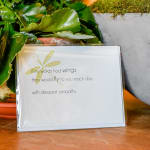 Sympathy card in front of a potted plant