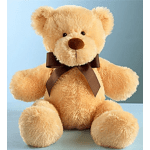 Plush teddy bear with a brown ribbon bow