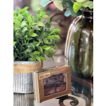 Potted green plant beside a box of nuts and chews