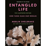 Book cover with pink text and a pale coral fungal illustration on black
