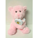 Pink teddy bear holding a small round tag