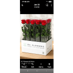 22" PRESERVED RED ROSE