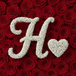 Baby's Breath Letter - H