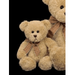 Two teddy bears with plaid bows on a black background
