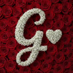 Baby's Breath Letter - G