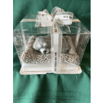 A small sleeping plush dog in a clear gift box with a ribbon.