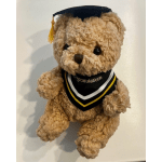 Teddy bear wearing a graduation cap and congratulatory bib