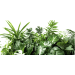 Dense arrangement of assorted green tropical foliage and potted plants