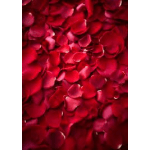 Close-up of red rose petals filling the frame