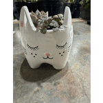 PURRRFECT CAT PLANTER (PICTURE AT $35)