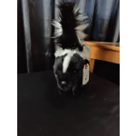 Plush skunk toy with a black-and-white striped tail