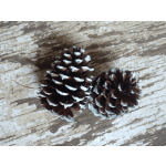 Two frosted pine cones on a weathered wood surface