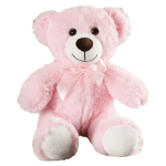 Pink Plush Teddy Bear