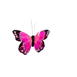 Pink and black decorative butterfly with thin antennae