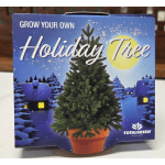 Box of a potted holiday tree plant