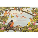 Greeting card assortment box with birds, butterflies, and flowers on the cover