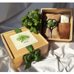 Culinary Herb Garden Box