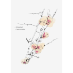 Minimal floral branch illustration with pale pink blossoms