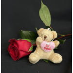 Red rose beside a teddy bear holding a pink heart