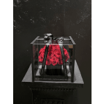 Red roses in a clear square box tied with a black ribbon