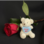 Red rose beside a small teddy bear holding a heart