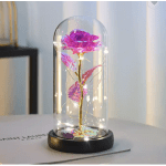 Pink rose under a glass dome with string lights