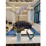 White orchid arrangement in a tall vase on a marble table