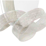 Iridescent sheer ribbon loops on a white background