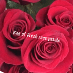 Close-up of red rose petals with text overlay