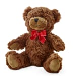 Brown plush teddy bear with a red bow on a white background