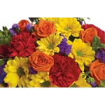 Mixed bouquet of yellow daisies, orange roses, red carnations, and purple flowers