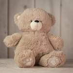 Plush teddy bear sitting upright on a tabletop