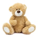 Plush teddy bear sitting on a white background