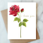 Red Rose Love Greeting Card