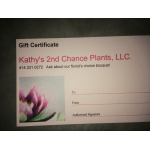 Gift certificate for Kathy's 2nd Chance Plants with a flower photo