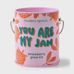 Pink strawberry grow kit tin with metal handles and floral graphics