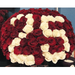 Large dome arrangement of red and white roses