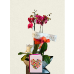 Customizable Ribbon Sash