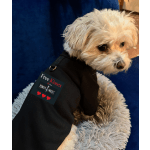 Small white dog wearing a black shirt with a printed graphic