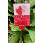 Valentine's Day card with a red heart and bunny illustration among green leaves.