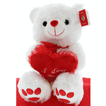 White teddy bear holding a red heart