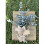 Eucalyptus Shower bundle