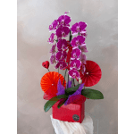 Pink orchid arrangement in a red container with decorative paper fans