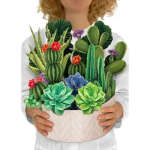 Person holding a pot filled with assorted cacti and succulents