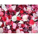 Pile of pink, red, and white rose petals