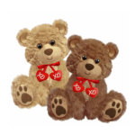 Two teddy bears with red heart tags on a white background