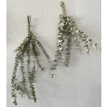 Two bundles of hanging eucalyptus branches against a wall