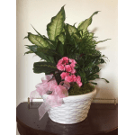 Pink flowers in a white woven planter with a pink ribbon