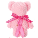 Pink teddy bear with a ribbon that says hope and strength